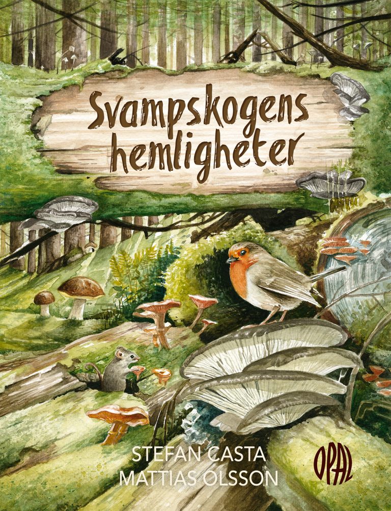 Illustrationer ur boken Svampskogens hemligheter