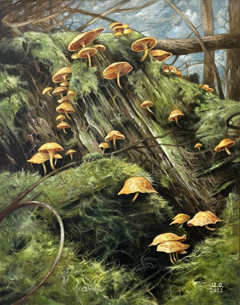 I slänten, skenet och stubbsvampen